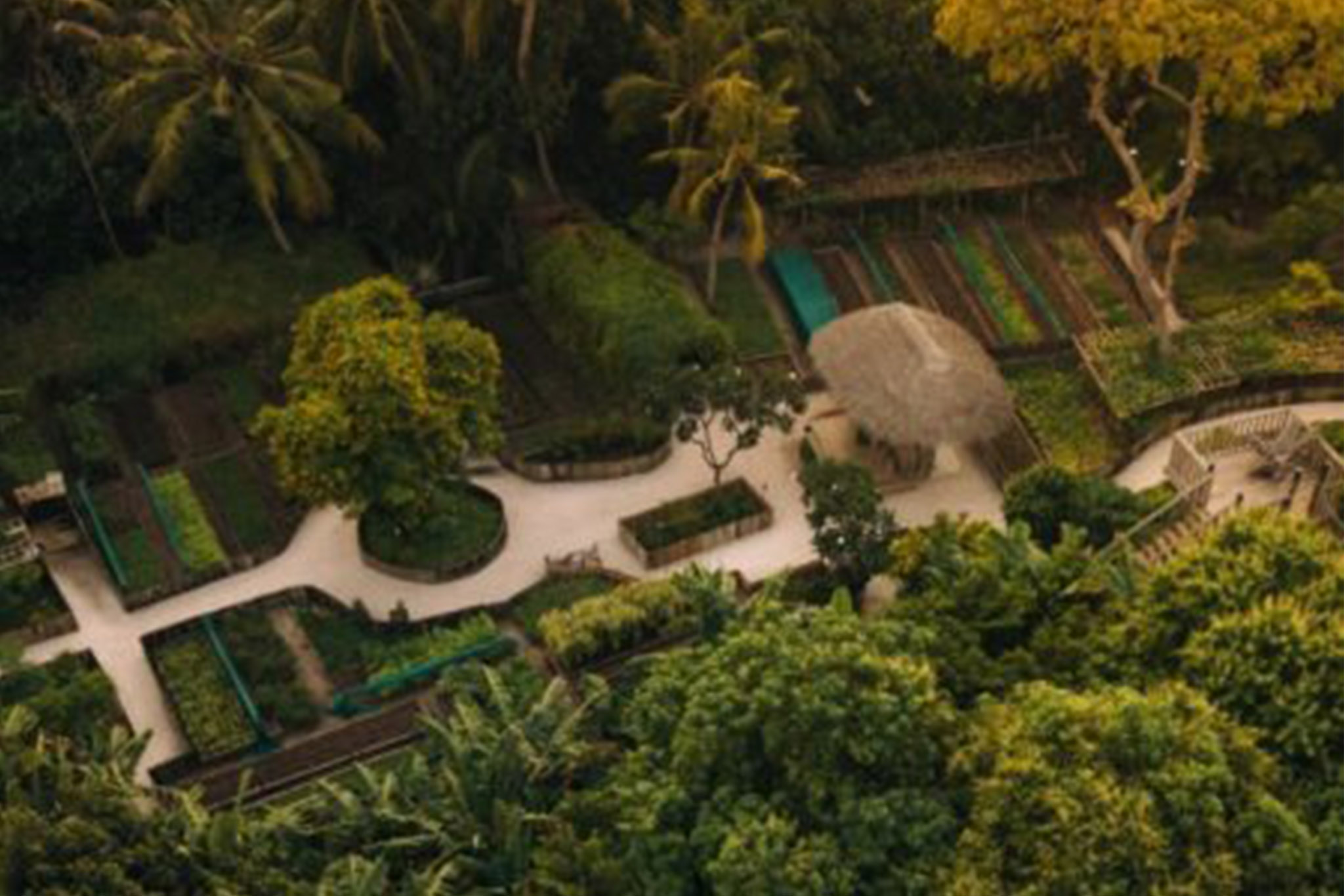 Soneva Fushi - Fresh in the Garden
