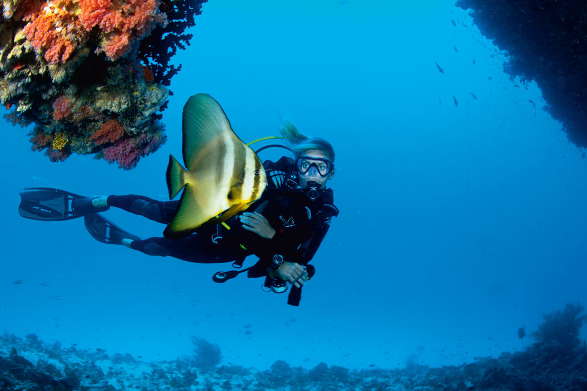 Velaa Private Island – Diving Velaa Private Island - Diving