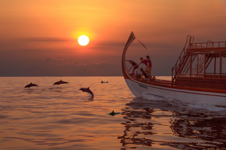 Kuda Villingili Resort Maldives Sunset Dolphin Cruise