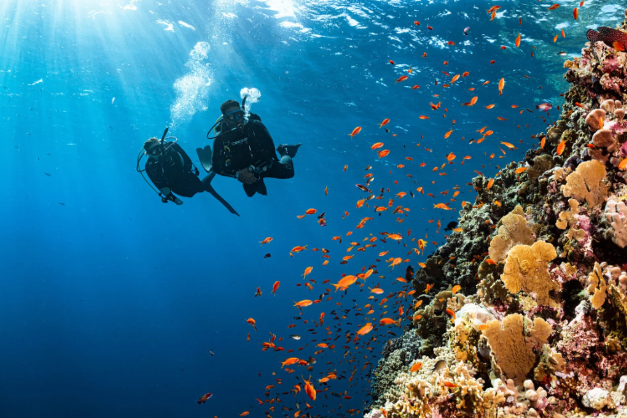 Avani + Fares Water sports SUP 