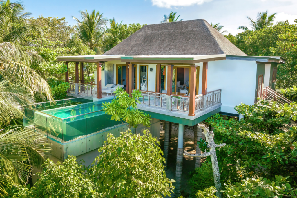 Amilla Maldives Treetop Pool Villa
