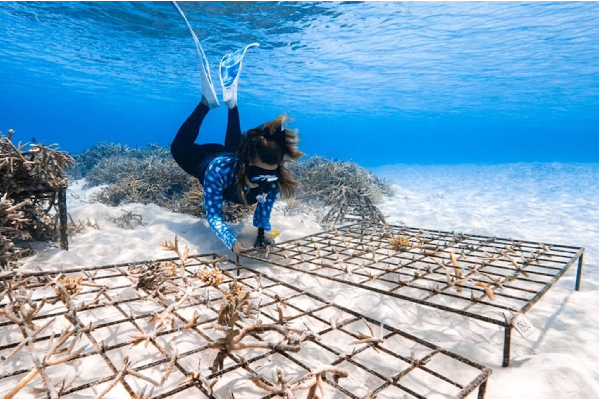 Anantara Dhigu Maldives Chef's Garden