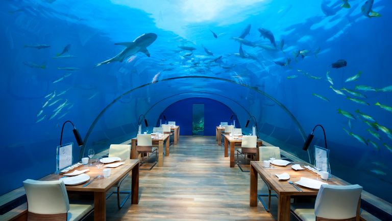 Conrad Maldives Rangali Island Ithaa Undersea Restaurant