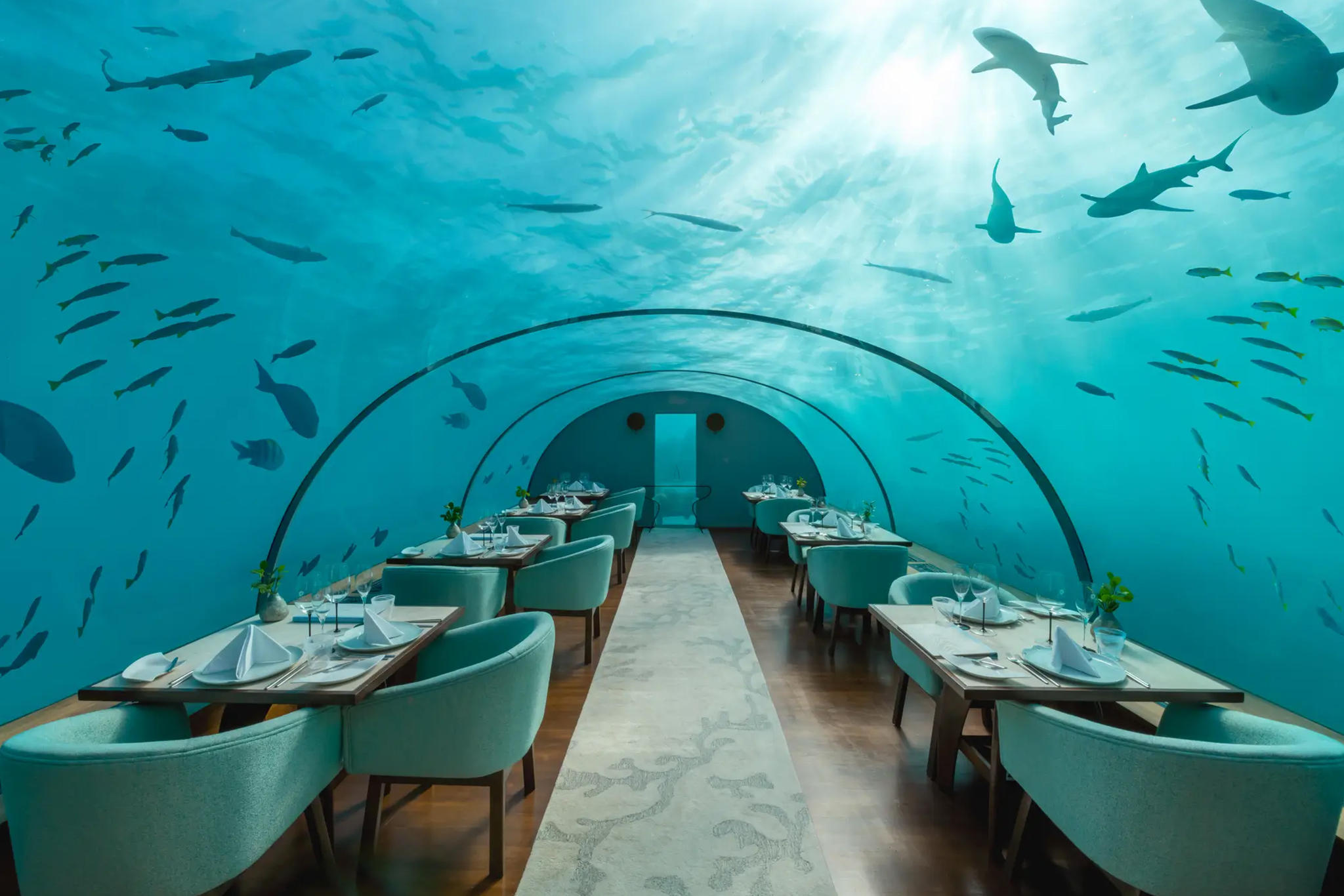 Conrad Maldives Rangali Island Ithaa Undersea Restaurant