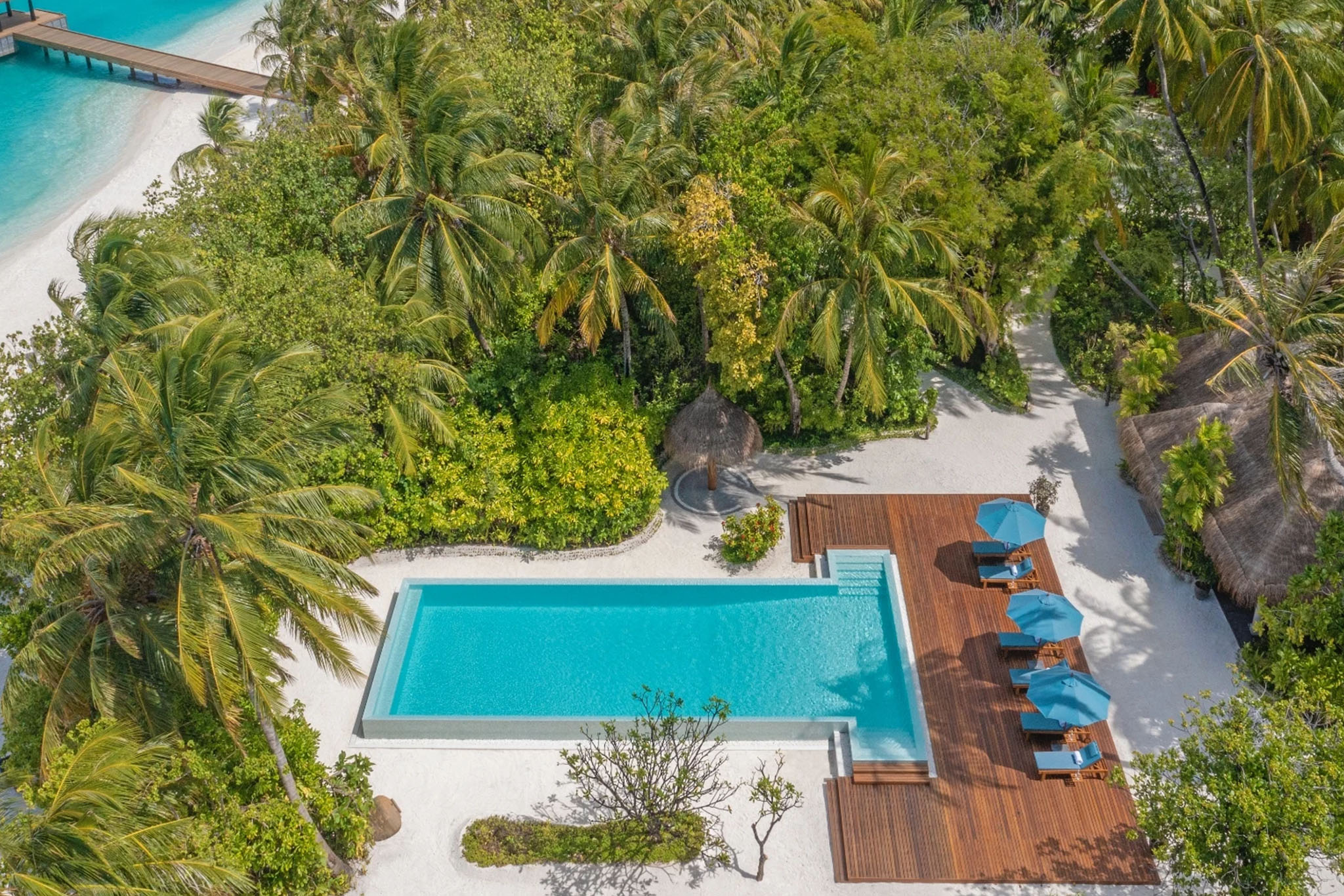 Naladhu Private Island - Pool