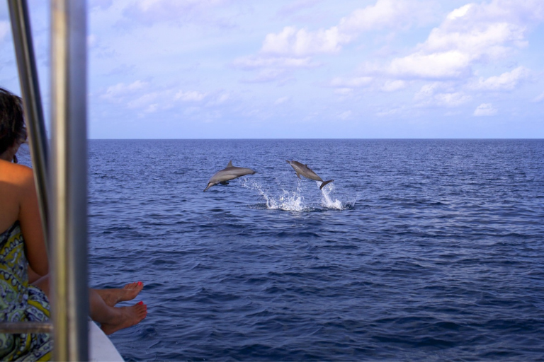 Six Senses Laamu Dolphin Cruise