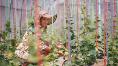 Sun Siyam Iru Veli Farm island