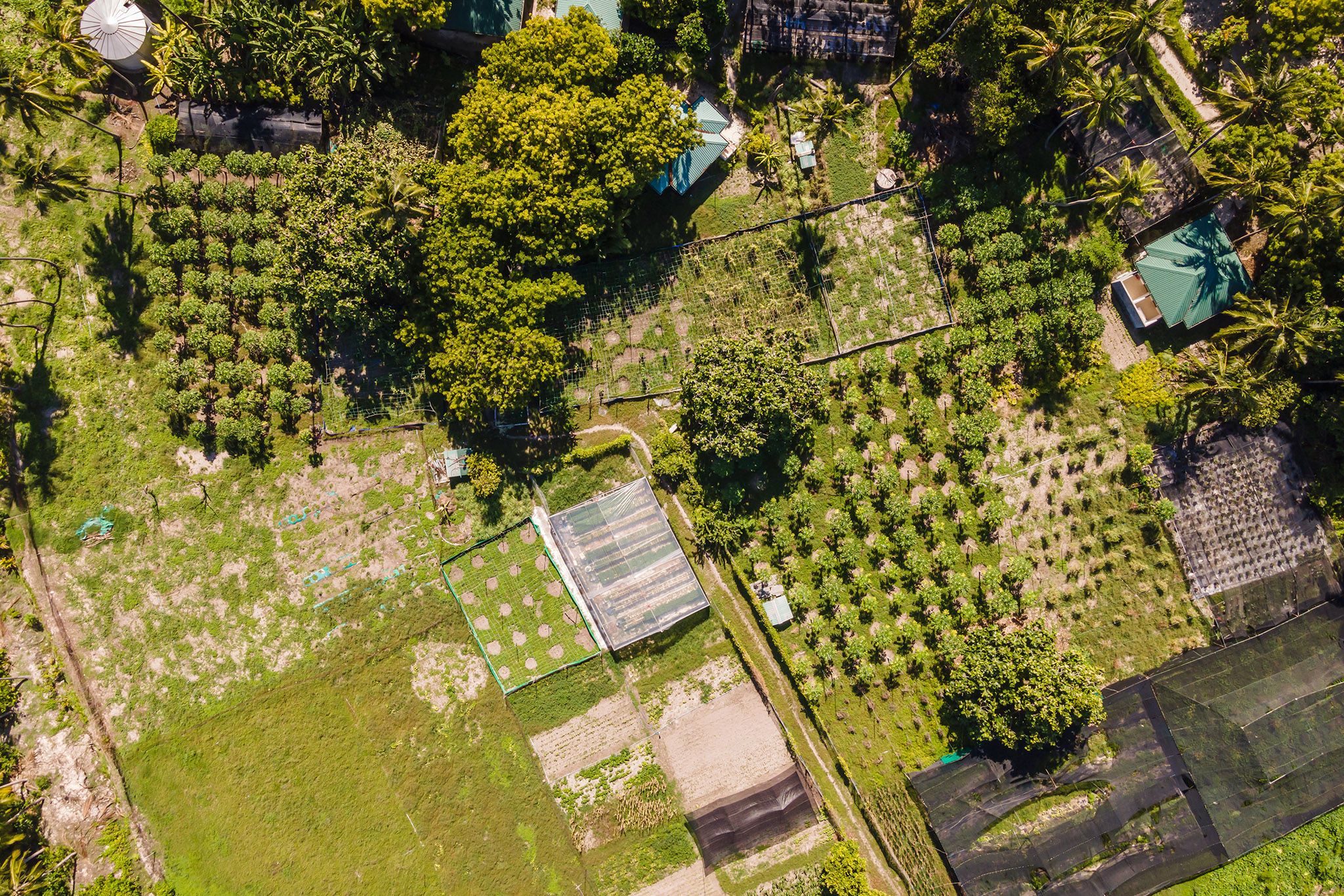 Sun Siyam Iru Veli - Farm Island