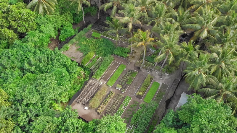 Vakkaru Maldives Organic Farm