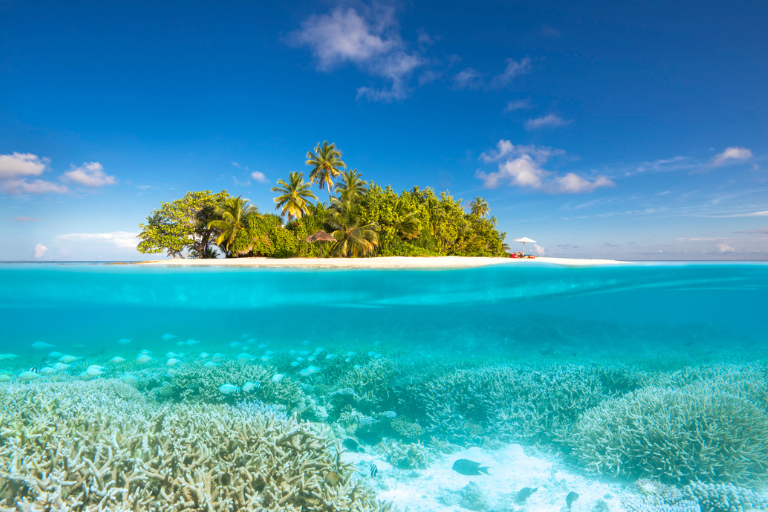 W Maldives Reef and Island Image