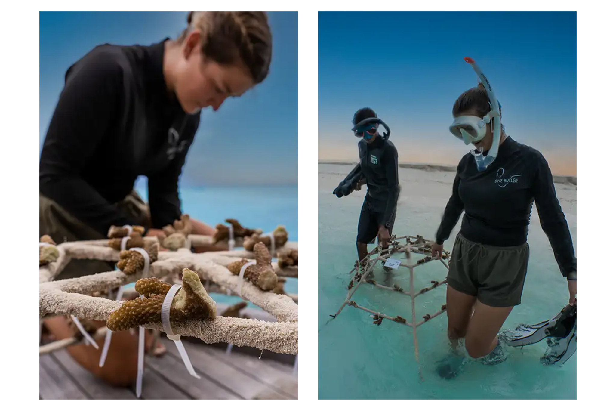 Seaside Finolhu Baa Atoll Maldives aerial 
