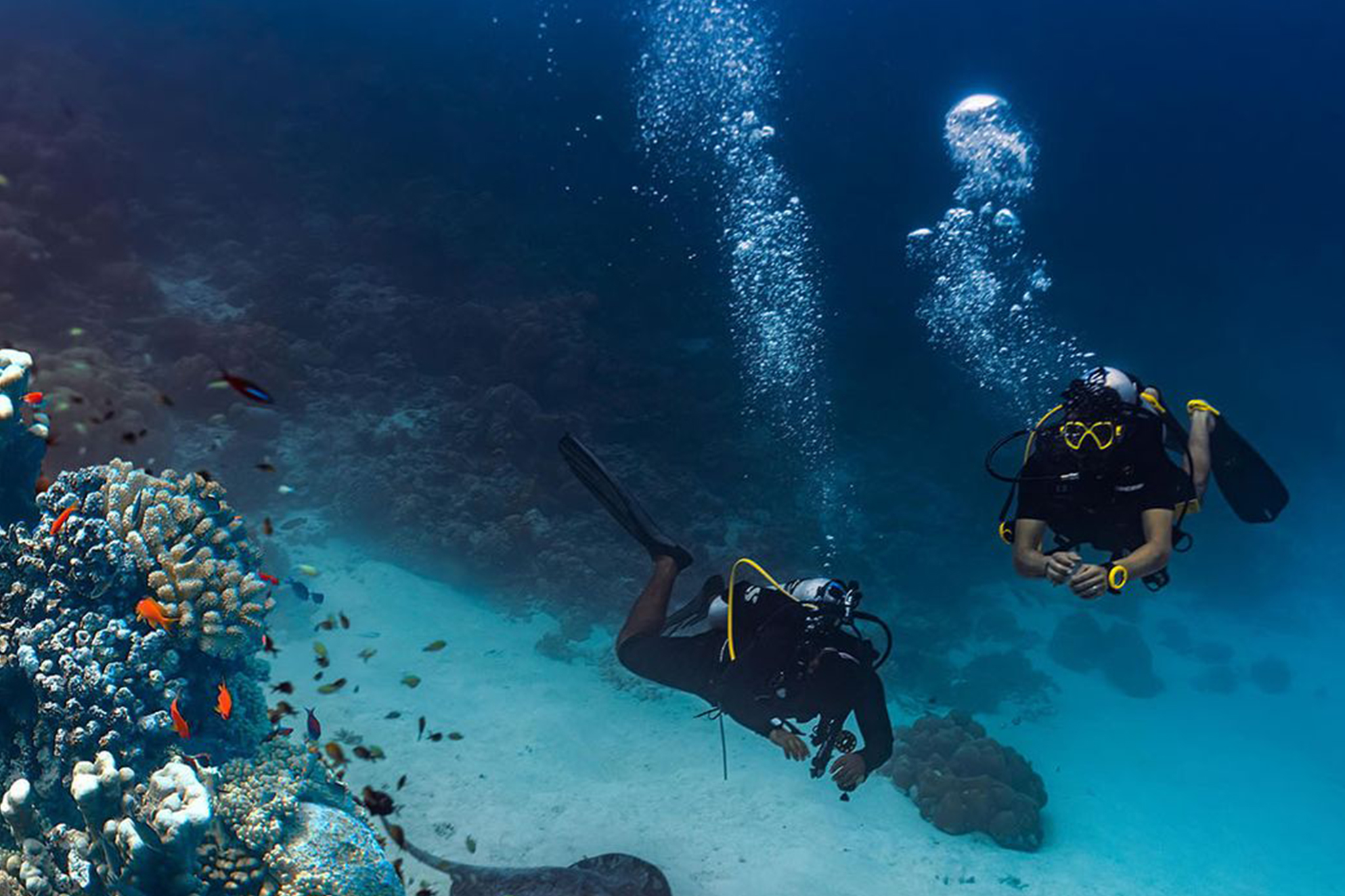 Heritance Aarah - Diving