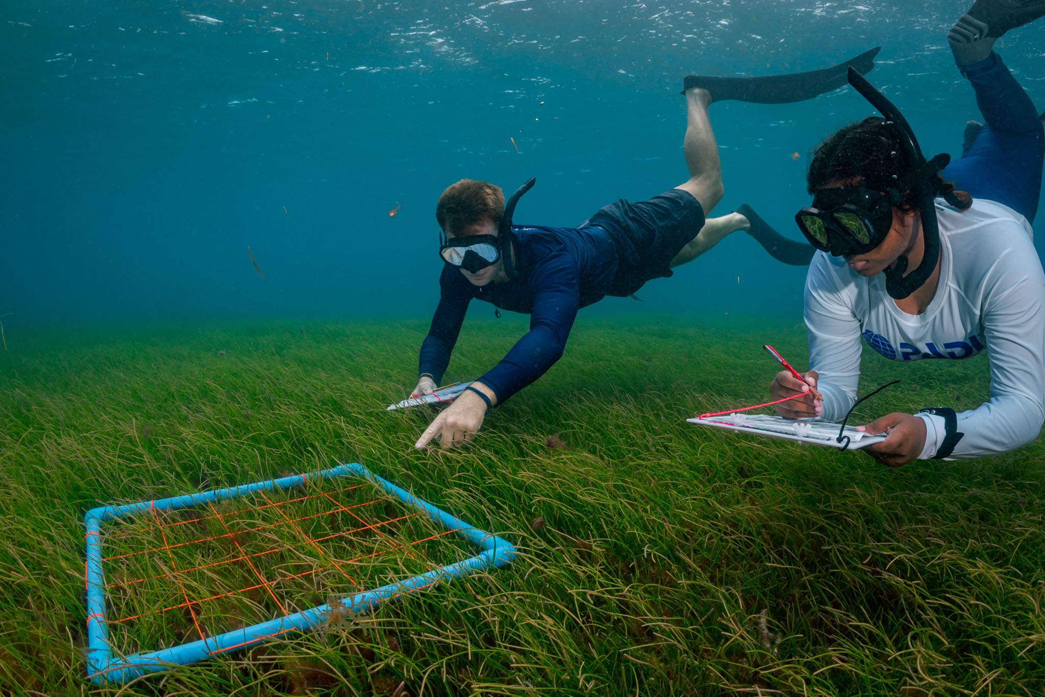 Six Senses Laamu - Sustainability