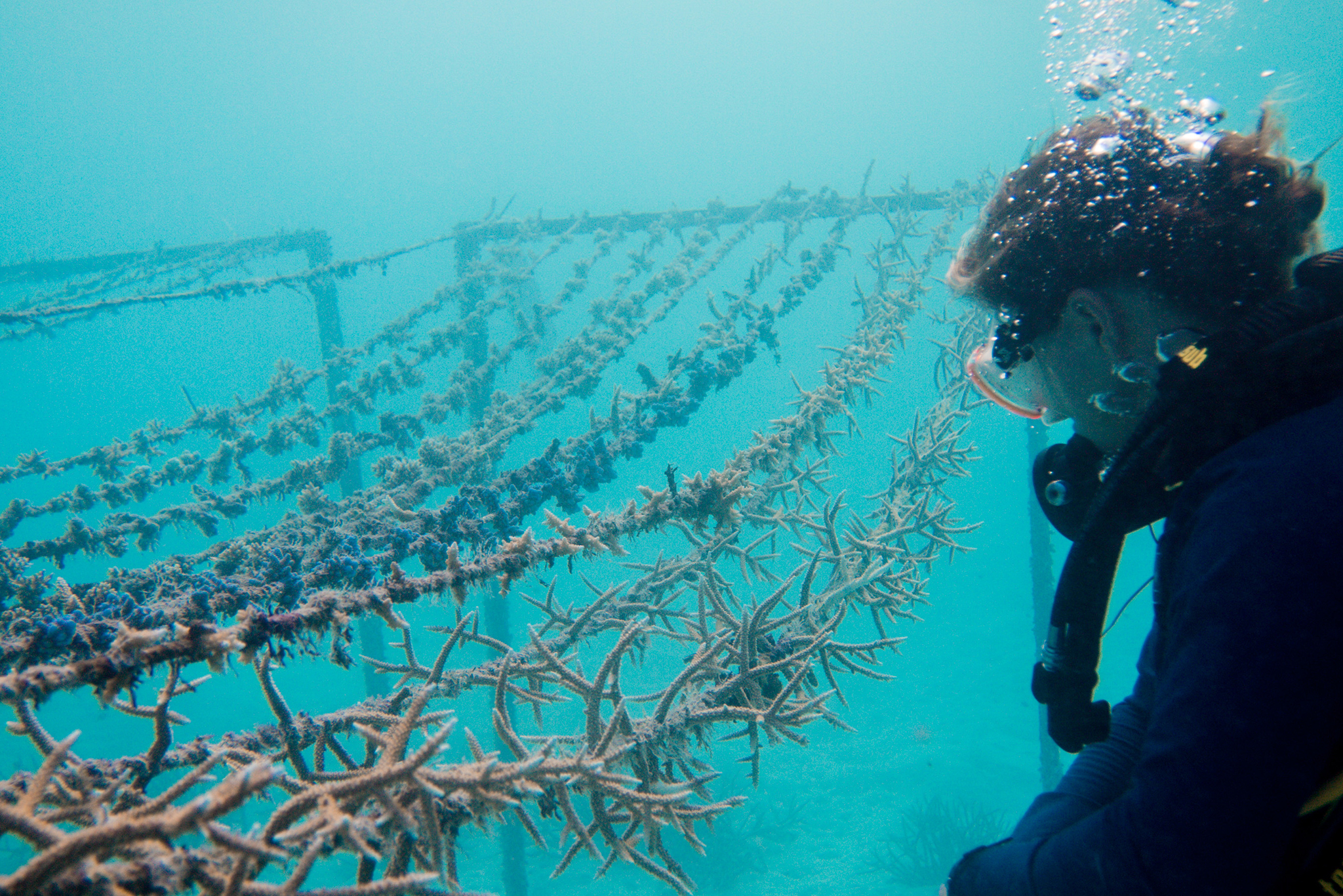 GLM_Coral Monitoring