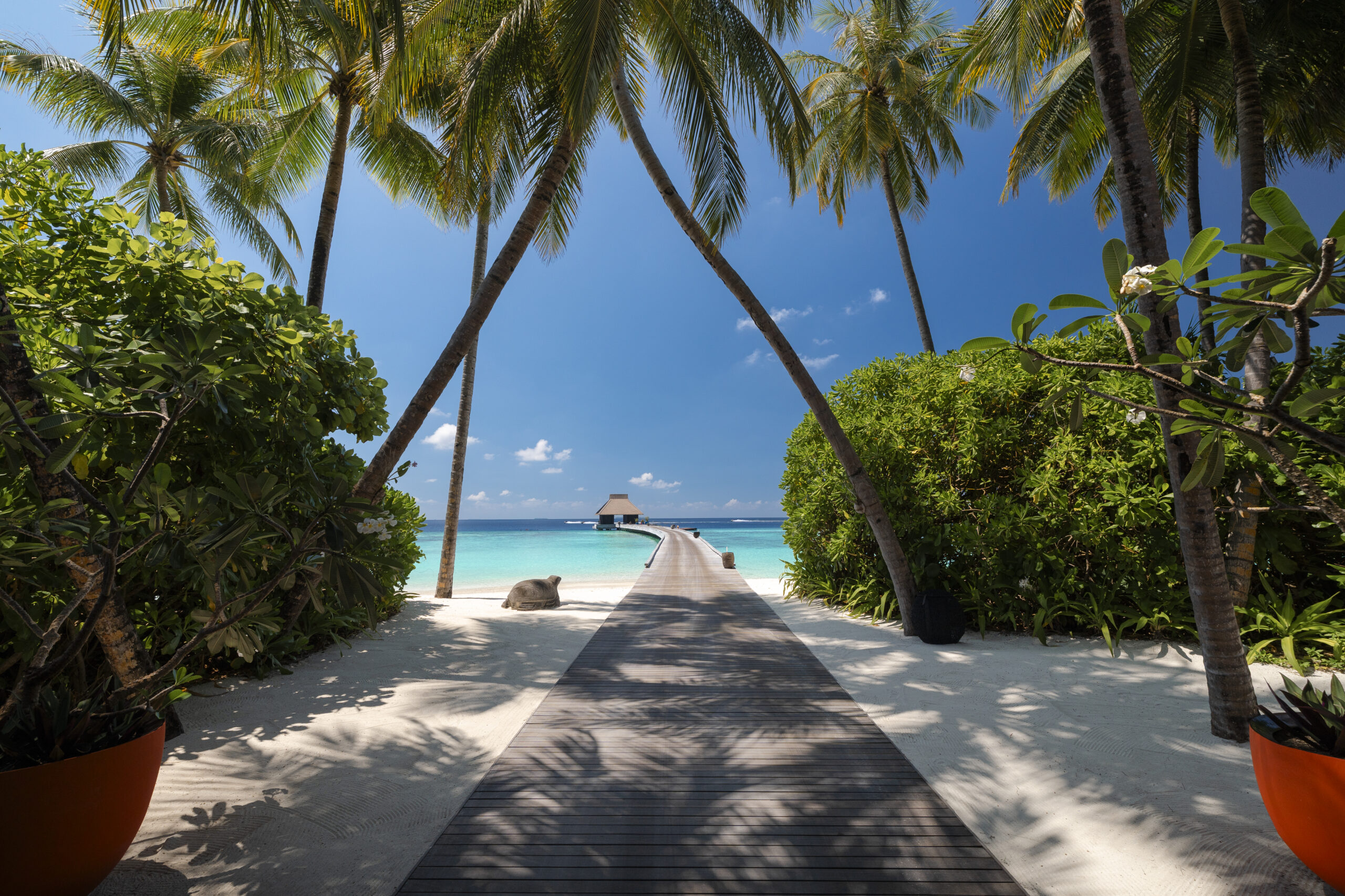 Velaa Private Island Arrival